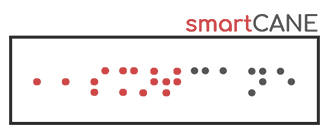 SmartCane